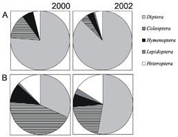 Owady odwiedzające kwiaty ROCZNIK AUGUSTOWSKO-SUWALSKI 2004 TOM 4 Baldachy barszczu zwyczajnego są atrakcyjne dla wielu grup owadów odwiedzających je w poszukiwaniu pyłku i nektaru (Zych 2002, 2003a).