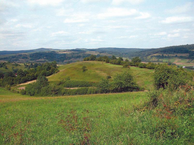 S. Kucharzyk Cenna murawa kserotermiczna na Pogórzu Przemyskim Ryc. 3. Widok na Górę Filipa od strony południowej (17.08.2008 r., fot. S. Kucharzyk) Fig. 3. A view from the south towards Góra Filipa hill (17 August 2008, photo by S.