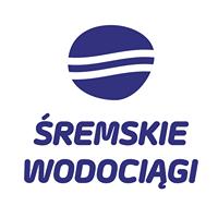 Raport o stanie gminy Śrem 2014-2018 57 12. Infrastruktura techniczna 12.