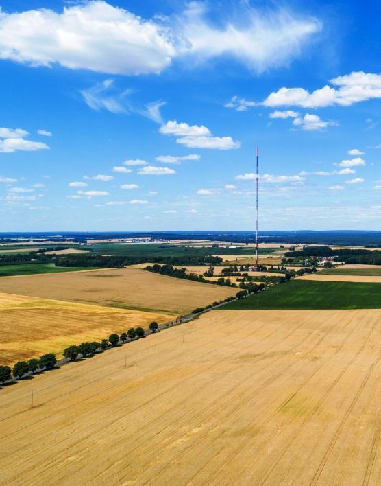 Raport o stanie gminy Śrem 2014-2018 67 15. Tereny wiejskie Tereny wiejskie stanowią 94% obszaru gminy Śrem. Obszar wiejski zamieszkuje ok. 30% mieszkańców całej gminy. 15.1 Rolnictwo Rolnicy na terenie gminy Śrem gospodarują na powierzchni 13 935 ha użytków rolnych, w tym grunty orne stanowią powierzchnię 11 417 ha.