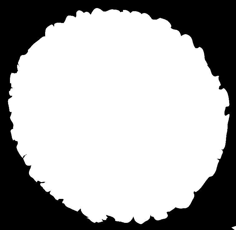 Imagine that the middle ring of the tree is the year when you