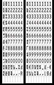W zależności od wersji umożliwia wydruk do 20 znaków, w tym cyfry, symbole walut oraz masy.