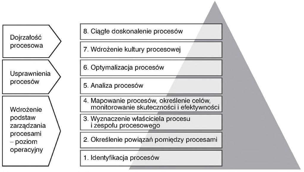 powyżej 51 pracowników), w których ze względu na skalę działalności stosowane może być bardziej rozwinięte podejście w zakresie doskonalenia procesów.