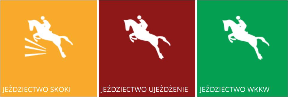 JEŹDZIECTWO Rywalizowało 36 klubów, 14 województw M-ce WLP III VII +4 III Pkt.