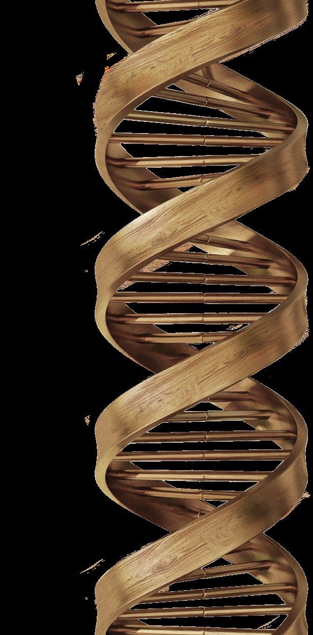 ROZWÓJ TECHNOLOGII JEST W NASZYM DNA SCM to doświadczenie i wysokie kompetencje w dziedzinie obróbki drewna.