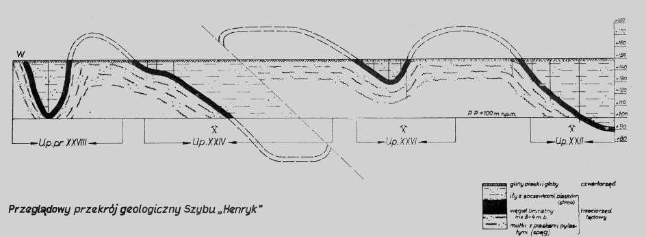 KOPALNIA HENRYK (Wzniesienia