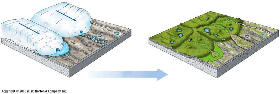 KRAJOBRAZ GEOLOGICZNY PROCESY GEOLOGICZNE ZLODOWACENIA moreny lodowcowe linia moren wyznaczająca stadium wycofywania lodowca linia