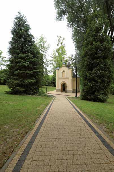 POLBRUK AVANTI LINIA