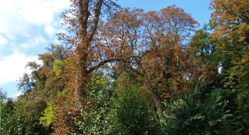 - park, nr rej.: 709 z 20.12.1957 A.703 Oprócz obiektów ujętych w rejestrze zabytków na terenie gminy istnieją liczne zabytki ruchome, kapliczki, a także stanowiska archeologiczne. Park Suliszów, www.