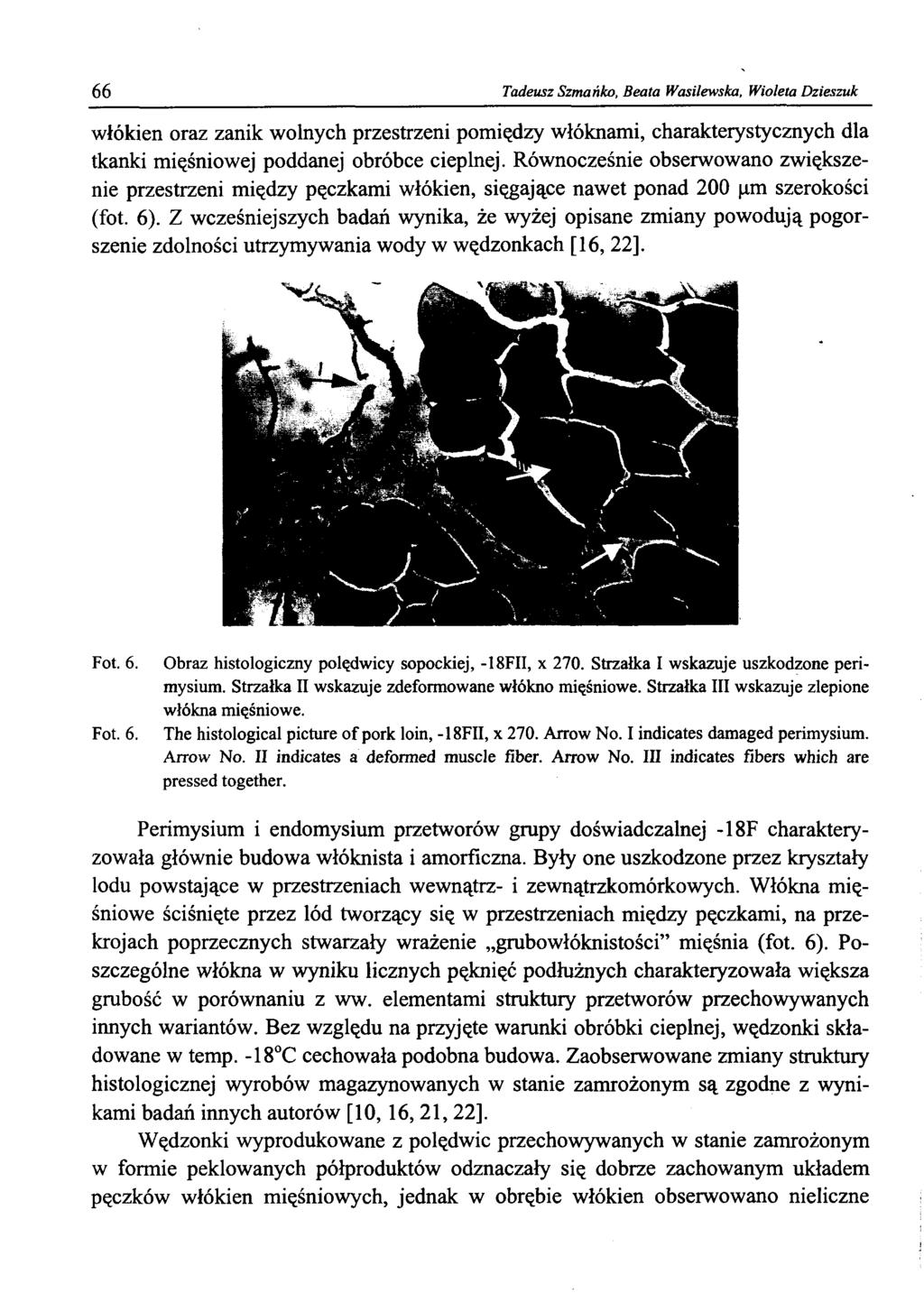 66 Tadeusz Szmańko, Beata Wasilewska, Wioleta Dzieszuk włókien oraz zanik wolnych przestrzeni pomiędzy włóknami, charakterystycznych dla tkanki mięśniowej poddanej obróbce cieplnej.