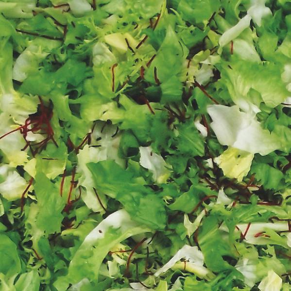 GREEN TIME BOLERO MIX TOSCANA MIX