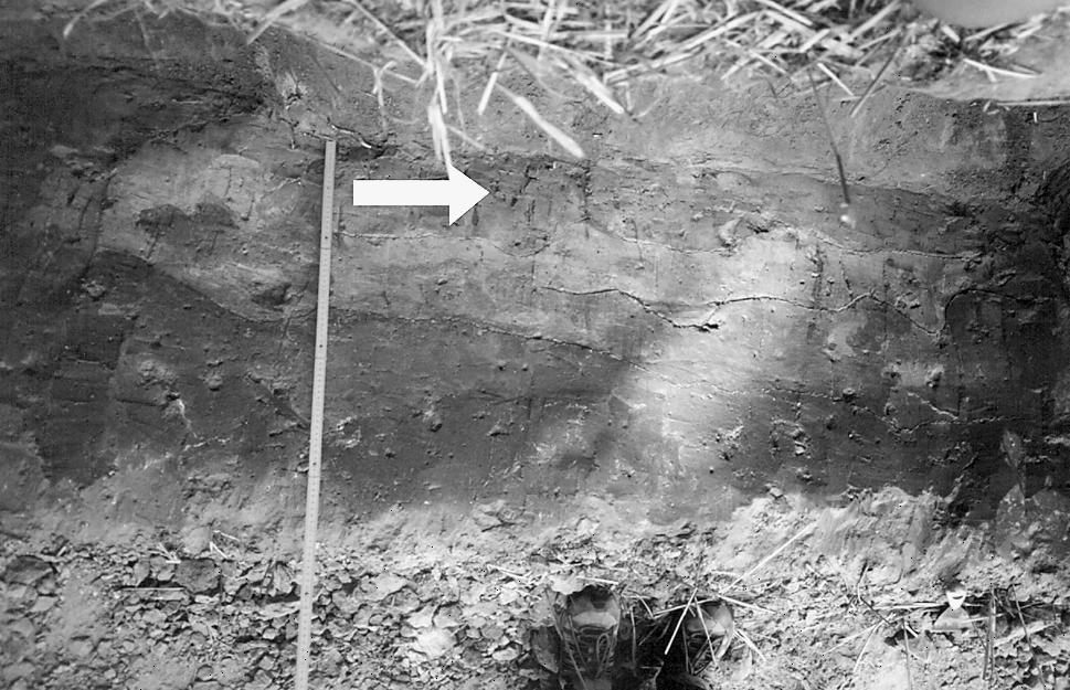 Odkryte w czasie badań wykopaliskowych dwa, trzy rzędy palisad z materiałem plecionkowym, na pograniczu stanowiska archeologicznego i rynny Samicy, wskazują także na sąsiedztwo zbiornika.