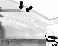 Z zewnątrz pojazdu wyjąć oprawkę żarówki, zwalniając zaczepy śrubokrętem z płaską końcówką. 4.