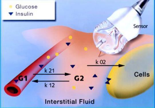 Zasada pomiaru glukozy w komercyjnych CGMS Enzymatyczne elektrody wykorzystują