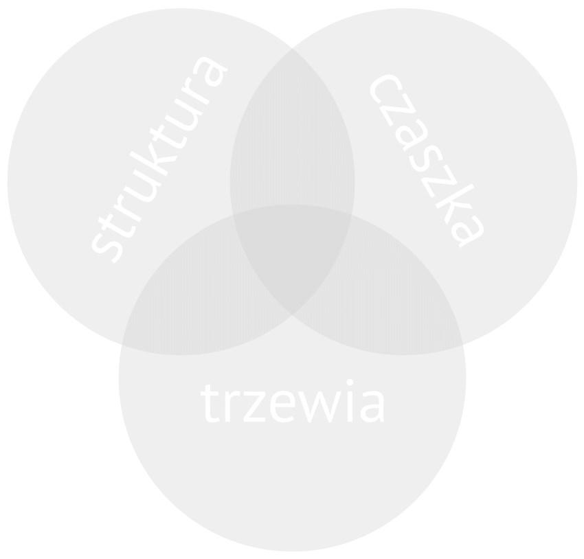 Program Modularny oraz Integracja Integracja modułów w FICO Osteopathy Academy służy usystematyzowaniu wiedzy, jak i nauczaniu podejścia osteopatycznego.