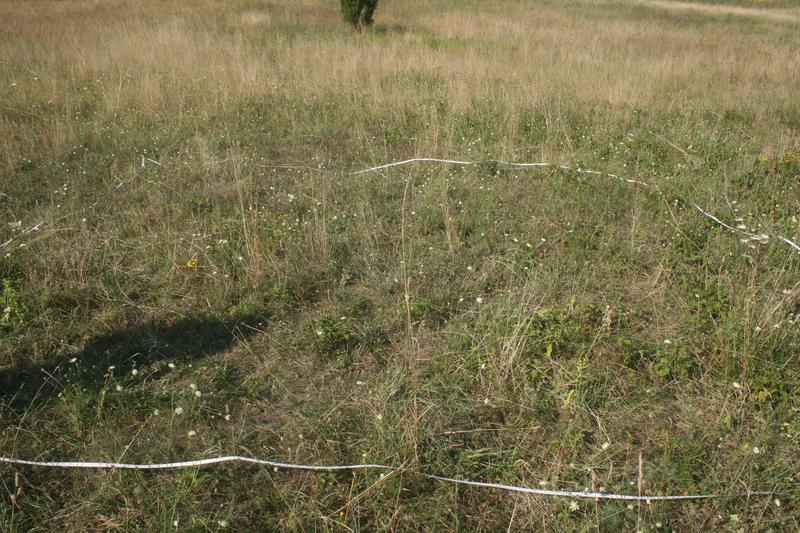 Ocena ogólna Gatunki charakterystyce Ocena stanu siedliska Opis Carlina vulgaris, Centaurea scabiosa, Euphorbia cyparissias, Gentiana cruciata, Plantago media, Poa compressa, Scabiosa ochroleuca
