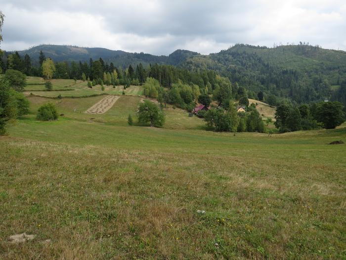 Fot. Wężlówka widok ogólny