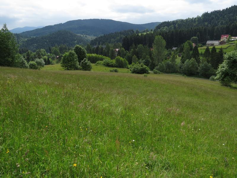 Fot. Czarny Groń widok ogólny (K. Sokół, 25.06.2015 r.) III.2.4.