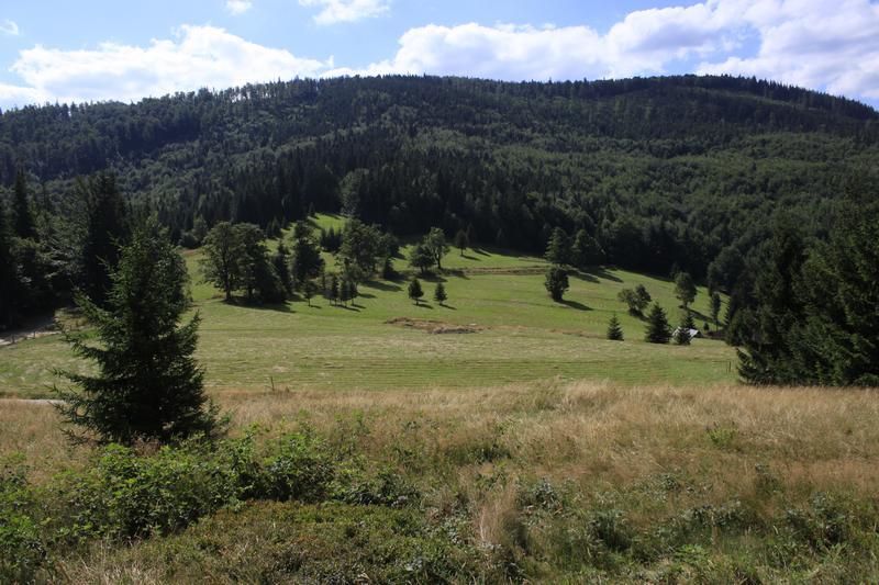 Klekociny widok ogólny (A.