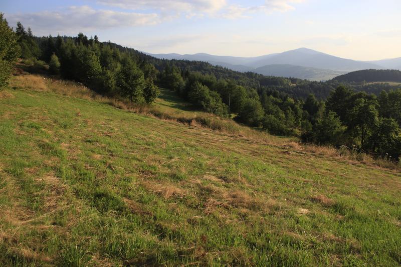 Fot. Nowa Polana widok ogólny (A. Kloczkowska, 21.08.2015 r.) III.2.12.