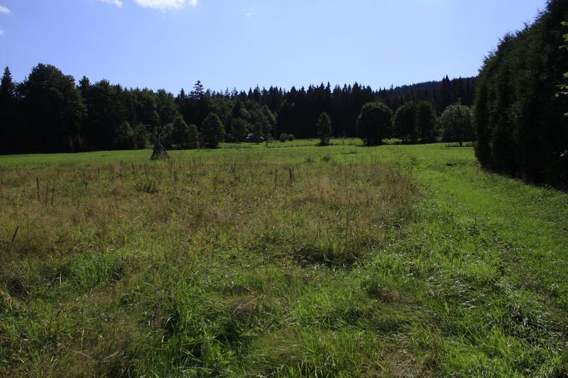 Fot. Pod Grapy widok ogólny (A. Kloczkowska, 26.08.2015 r.) III.2.13.