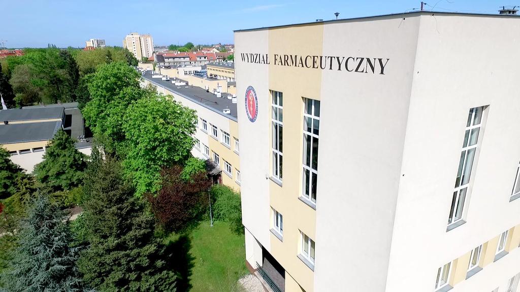 nadzwyczajnych 17 doktorów