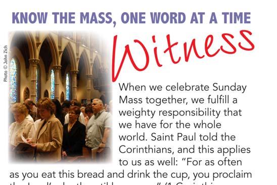 St. Mary s Parish News April 07, 2013 Sunday of Divine Mercy John 20:19-31 Thomas believes because he sees Jesus.