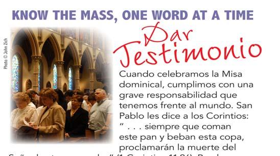 Anuncios Parroquiales 07 de Abril de 2013 Domingo de la Divina Misericordia Al anochecer de aquel día, el primero de la semana, estaban los discípulos en una casa, con las puertas cerradas por miedo