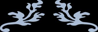 Program wychowawczo -