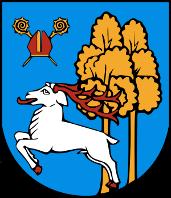 Program funkcjonalno-użytkowy Zagospodarowanie skweru gen. Aleksandra Krzyżanowskiego Wilka przy ul.