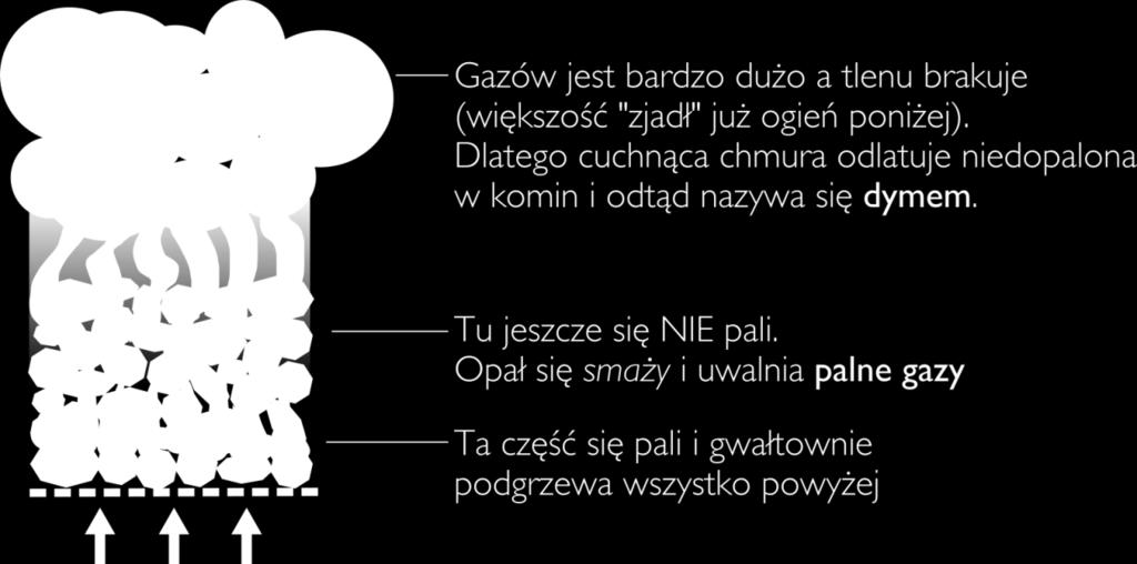 30% wagi każdego węgla. 30% z (tu wstaw cenę tony węgla) tyle ucieka kopcącym kominem!