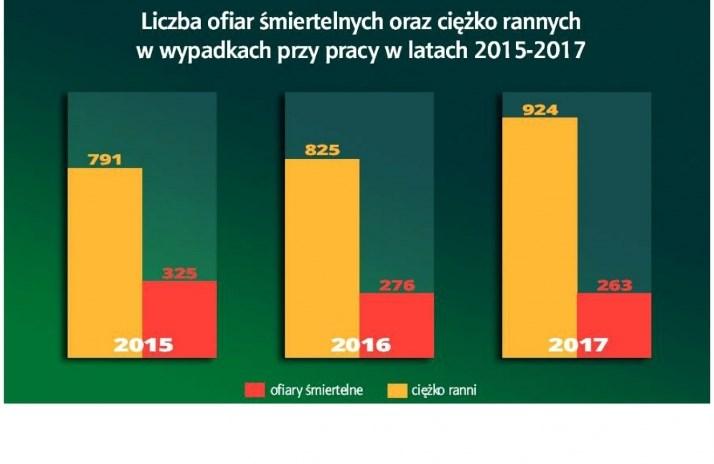 Z życia Komisji Krajowej 28 kwietnia - Międzynarodowy Dzień Pamięci Ofiar Wypadków przy Pracy i Chorób Zawodowych W 2017 roku w wyniku wypadków przy pracy śmierć poniosły 263 osoby, a ponad 900