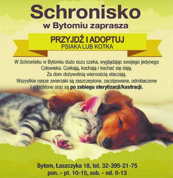 podłącz zewnętrzny dysk twardy do iPada