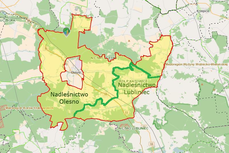 Program Ochrony Środowiska dla Gminy Olesno na lata 2016-2019 z perspektywą na lata 2020-2023 Tabela 32. Struktura lasów Gminy Olesno w roku 2014.