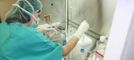 1.Ocena stanu sanitarnego podmiotów wykonujących działalność leczniczą Szpitale PPIS w Katowicach w 2017 roku na terenie miasta nadzorował 5 szpitali, w tym 2 jednodniowe tj: Centrum Leczenia Oparzeń