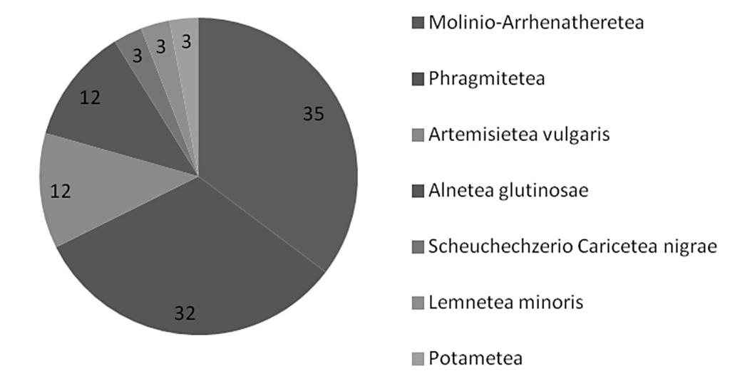 Rys. 2. Procentowy udział klas fitosocjologicznych na całym badanym obszarze Fig. 2. Percentage share of phytosociological classes in the whole examined area towarzyszący lub w partiach brzeżnych torfowiska - tworzy płaty zespołu Caricetum gracilis.