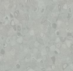 50027 fog