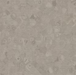 pale 50043