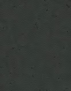 fossil LRV 25%