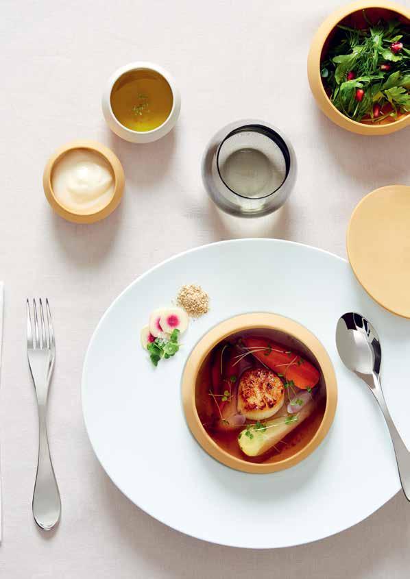 boreal Nowoczesne i wyrafinowane formy kolekcji Boreal spełnią oczekiwania najbardziej wymagających restauratorów i kucharzy. To linia stricte gourmet.
