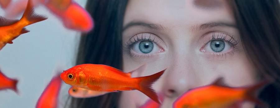 Niepozorna komedia o samotniczce i dziwaczce, z dużą dawką dobrego humoru, za którym bardzo przepadam. Carrie Pilby reż. Susan johnson Paweł Pachla - O szeroko pojętej kulturze USA/100 min.