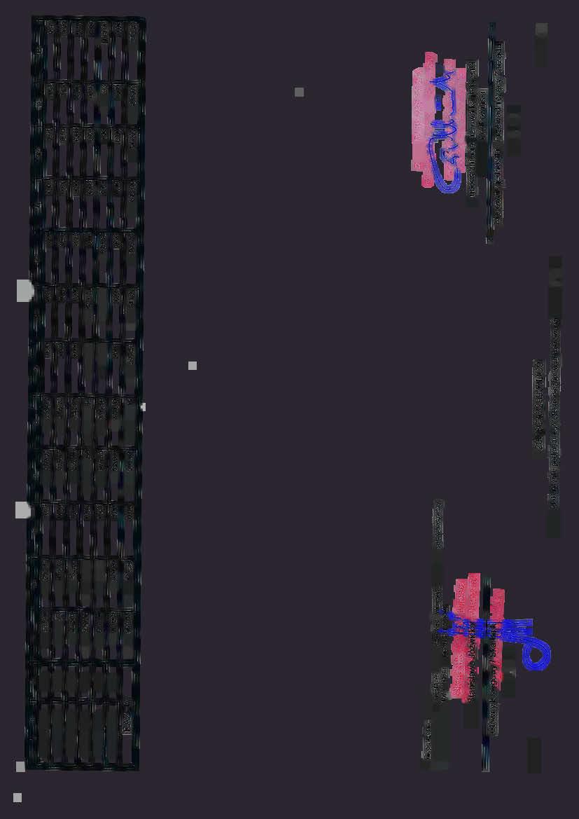 1 (-. 1 2 3 4 5 6 Razem dział 852 500 531,00 406 259,82 Razem dział 853 446 641,77 334 476,77 Razem dział 854 66 232,00 66 232,00 Razem dział 855 12 466 229,00 11 042 946,81 Razem dział 900 810 00