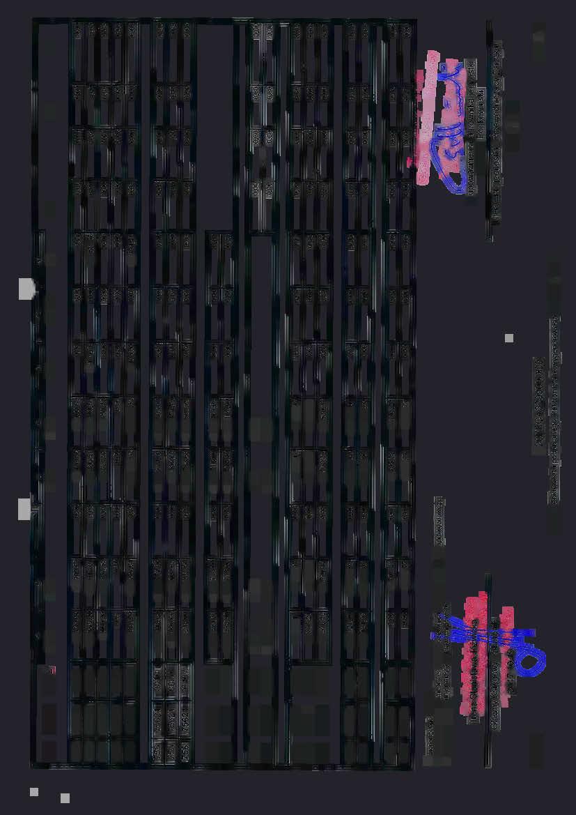 /""""...---.
