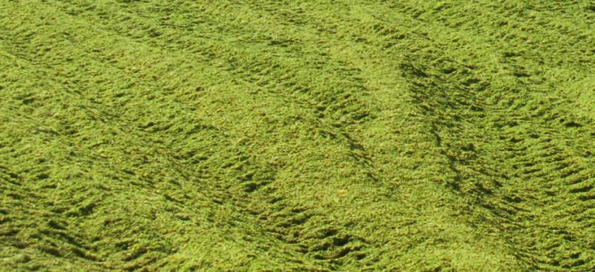 WICHTIGER HINWEIS! Um die Sicherheit der Silage zu gewährleisten, ist die zusätzliche Verwendung unserer Unterziehfolie zwingend erforderlich! Die Folie ist in täglichen Abständen auf evtl.