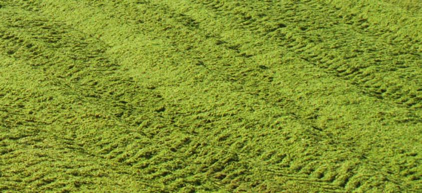 Größe: Wichtiger Hinweis! Die Folie ist in regelmäßigen täglichen Abständen auf evtl. Beschädigungen zu überprüfen. Bei Beschädigung ist sofort eine weitere Silofolie aufzubringen.
