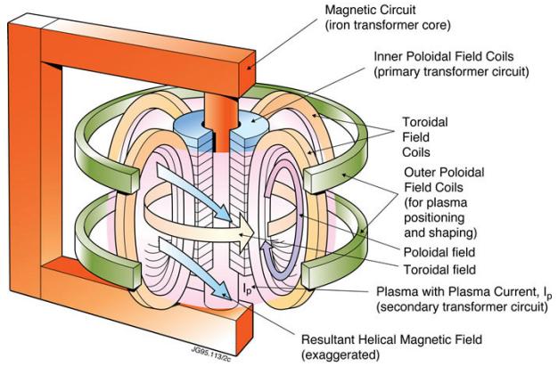 Rysunek 13: Schemat cewek wytwarzających pole magnetyczne w tokamaku.