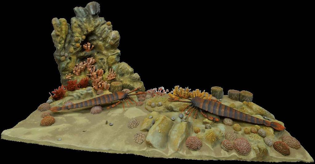 DIORAMA W PALEOZOICZNYM MORZU Diorama przedstawia fragment dna