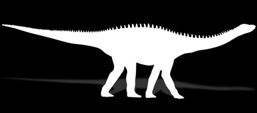 DINOZAURY - OFERTA STANDARDOWA