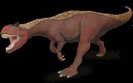 ALLOZAUR AVACERATOPS wysokość