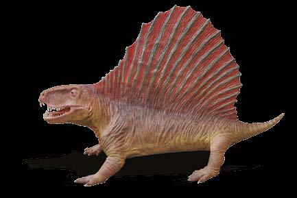 długość 350 cm, szerokość 120